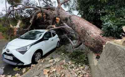Massive Zerstörung im Urlaubsort Cala Rajada: LIVE ON TAPE Orkan und Riesenwellen über 8 Meter – Supermarkt schwer beschädigt, Bäume an jeder Ecke umgestürzt, deutsche Urlauber im O-TON: Heftige Unwetterschäden im Urlaubsort - O-Töne deutsche Urlauber