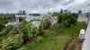 Zyklin „Judy“ fegt über Inselstaat Vanuatu hinweg: Orkanböen und heftiger Starkregen peitschen über Insel hinweg, Palmen und große Bäume umgeknickt: Südsee in den letzten Wochen von zahlreichen Zyklonen betroffen