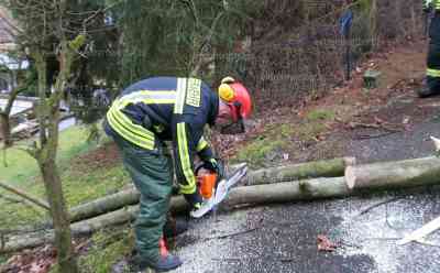 Sturmtief „Diethelm“ fegt über Sachsen hinweg: Erste Ausläufer erreichen das Erzgebirge, Sturmböen knicken Baum auf Fußgängerweg um: Turbulentes Wetter am Freitag in ganz Deutschland: im Norden Schneefall, im Süden Dauerregen und Plusgrade