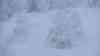 (Schneesturm, extrem) Extremer Schneesturm: Brocken nicht mehr erreichbar, Brockenbahn fährt nicht mehr, PKW bleiben mit Schneeketten stecken, 3 Meter hohe Verwehungen: voller Orkan auf dem Brocken, PKW fährt sich mit Schneeketten fest, dutzende liegengebliebene LKW trotz Schneeketten