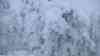 (Schneesturm, extrem) Extremer Schneesturm: Brocken nicht mehr erreichbar, Brockenbahn fährt nicht mehr, PKW bleiben mit Schneeketten stecken, 3 Meter hohe Verwehungen: voller Orkan auf dem Brocken, PKW fährt sich mit Schneeketten fest, dutzende liegengebliebene LKW trotz Schneeketten