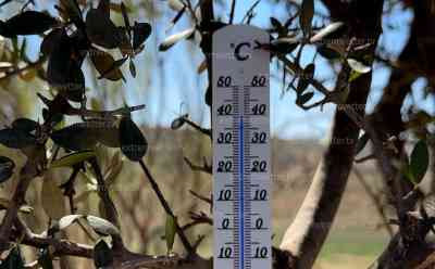 Extreme Hitzewelle rollt auf Spanien zu: Erste Rekorde bereits gebrochen – Erste Bilder zeigen das heiße Sommerwetter in Andalusien, in Deutschland dagegen Nachfrost und Schmuddelwetter: In den kommenden Tagen Rekordtemperaturen von bis zu 40 Grad im Süden Spaniens erwartet