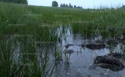 Dauerregenwarnung für die Alpen: Mai fällt komplett ins Wasser, regenreichstes Frühjahr seit Jahrzehnten, über 250 l/qm in den letzten 30 Tagen gefallen, Sonntag war ebenfalls von Starkregen geprägt: Örtliche Überflutungen möglich – letztes Jahr komplettes Gegenteil: Dürre und Hitze im Mai
