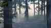Hohe Waldbrandgefahr – erste Waldbrände im Erzgebirge: Waldbrandstufe 3-4 in ganz Sachsen, Waldbrand bricht bei Aue aus, Feuerwehr mit Schaufeln gegen Flammen im Einsatz: Feuerwehr kann Brand schnell unter Kontrolle bringen, Regen am Dienstag könnte Waldbrandgefahr punktuell entschärfen