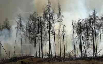 Waldbrand Lübtheen – Explosionen / Exklusivaufnahmen Waldbrand! Bauern unterstützen Löscharbeiten, dichter Rauch, Flammen und Explosionen am Waldrand live on tape, Feuerwehr kann nur aus sicherer Entfernung beobachten, Löschhubschrauber entnimmt Löschwasser aus Waldbad: Extrem Explosionsgefahr mitten im Waldbrand, dichter beißender Qualm in Geisterdorf Volzrade