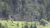 Hunderte Bäume am Brennerpass umgeworfen: Riesiges Glück für viele Autofahrer, hunderte Bäume verfehlen Brennerautobahn nur knapp, Drohnenaufnahmen zeigen spektakuläre Aufnahmen : Auch Zugverbindung über 12 Stunden am Brennerpass blockiert