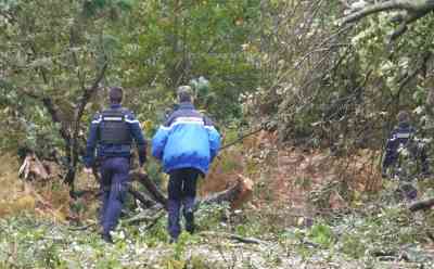 Extreme Schäden: Orkan Ciaran wütet mit Tempo 200 – Bilder aus der stärksten betroffenen Region in der Bretagne – Unzählige Straßen unpassierbar, Polizei kontrolliert Strecken – Boote im Hafen versunken, 21 m hohe Riesenwellen: Polizei sucht mit Hochdruck nach möglichen Personen zwischen umgestürzten Bäumen ON TAPE