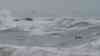 Extreme Schäden: Orkan Ciaran wütet mit Tempo 200 – Bilder aus der stärksten betroffenen Region in der Bretagne – Unzählige Straßen unpassierbar, Polizei kontrolliert Strecken – Boote im Hafen versunken, 21 m hohe Riesenwellen: Polizei sucht mit Hochdruck nach möglichen Personen zwischen umgestürzten Bäumen ON TAPE