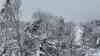 Lebensgefahr durch Schneebruch: 50 cm Neuschnee über Nacht – Der Süden Deutschlands versinkt im Schnee – Drohnenbilder zeigen umgestürzte Bäume und eisige Winterlandschaft: Drohnenaufnahmen zeigen die gefährlichen Wälder mit Schneebruch