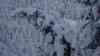 Schneebruch in Bayern - Pässe nach Schneefällen gesperrt: großer Schneebruch in den Wäldern, Achenpass wegen Schneebruch gesperrt, Urlauber stehen vor Sperrscheibe und müssen warten, andere Urlauber erreichen Hotels nicht: Traumwinterlandschaft am Sonntagnachmittag über Bad Tölz zeigt schöne Seite des Winters