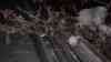 Eisregenchaos - Schlittschuhe als Fortbewegungsmittel: Kameramann fährt auf Straßen und Gehwegen mit Schlittschuhen, Fußabdrücke gefrieren auf Gehwegen sofort, Seitenscheibe aus Eis bricht: Beeindruckende Eisregenaufnahmen aus Thaining