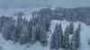 Wintereinbruch im Allgäu: Intensive Schneefälle bringen bis zu 25 cm Neuschnee, Anwohner mit Schneeschieber und Schneefräse im Einsatz, Pollen von Schnee bedeckt: Wintersportgebiete freuen sich über Neuschnee, Lifte geöffnet