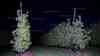 Frostbekämpfung - Bauern frieren Obstpflanzen ein: sogenannte Kristallisationswärme schützt Pflanzen indem sie bei Frost mit Wasser besprüht werden, eindrucksvolle Aufnahmen vom Benetzen der Pflanzen: Interview mit Obstbauer Manfred Winkler, wie die Pflanzen gegen den Frost geschützt werden