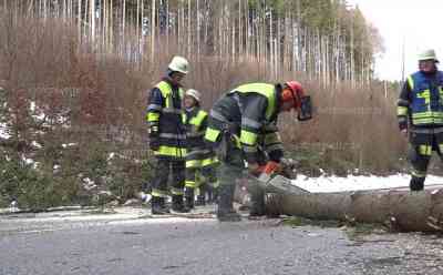 Sturmtief Friederike lässt Baum auf Staatsstraße fallen, Verkehr kommt komplett zum erliegen: Feuerwehr vor Ort, Bäume neben der Straße bogen sich gefährlich im Strum
