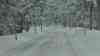 (Schneesturm, stark) Schneesturm und Glätte: Winterdienst im Dauereinsatz, starke Schneeschauer bringen wenig Sicht, bis zu 10 cm Neuschnee, sehr glatte Straßen: Touristen berichten vom Winterwetter, Auto Fahrer kämpfen gegen dichten Schneefall, Rodler freuen sich über das Wetter